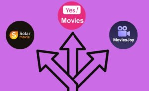 The Flixer Alternatives: Best Free & Paid Streaming Sites in 2024 - The